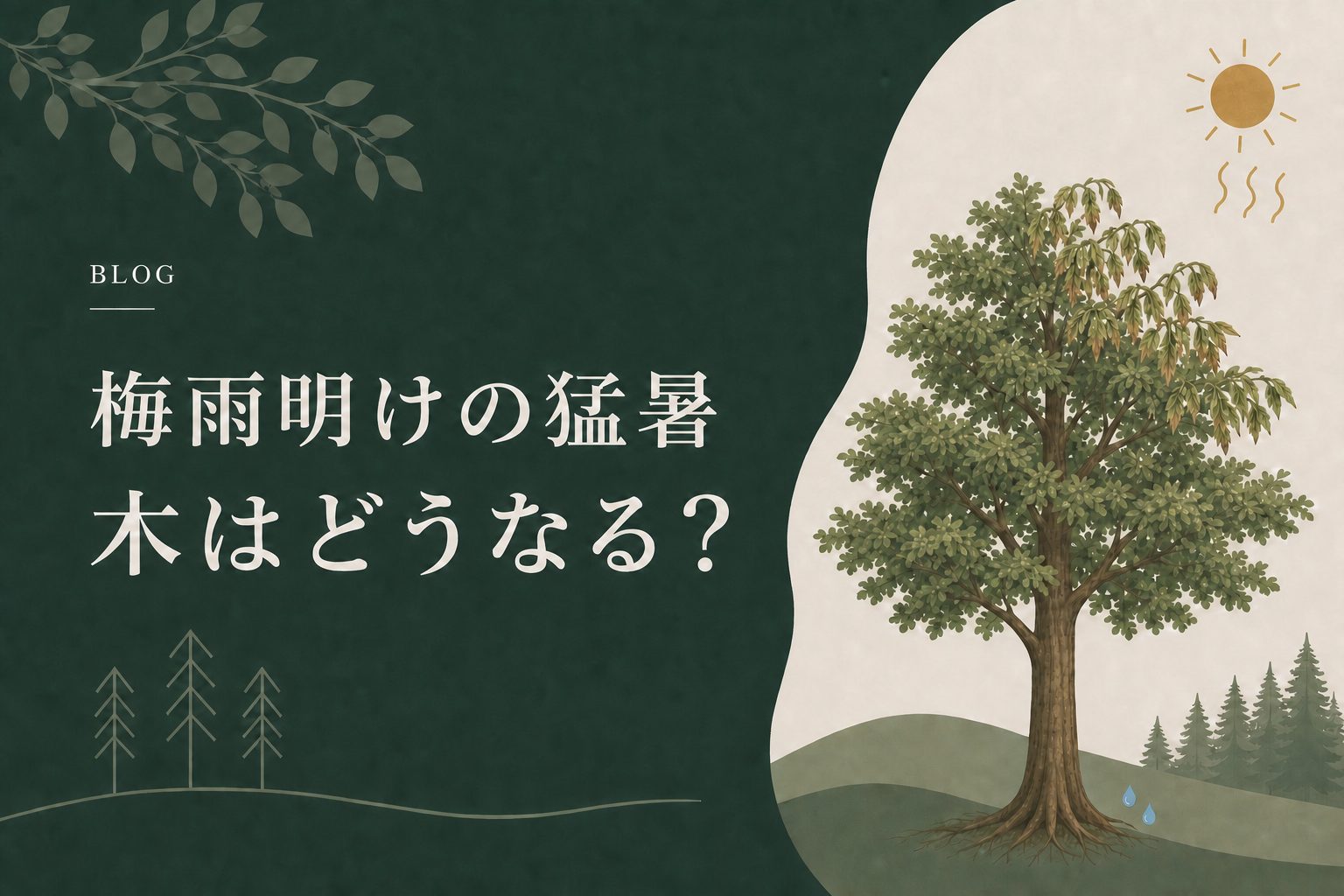 梅雨明けの暑さで木はどうなる？夏の木の成長と気をつけたいサイン
