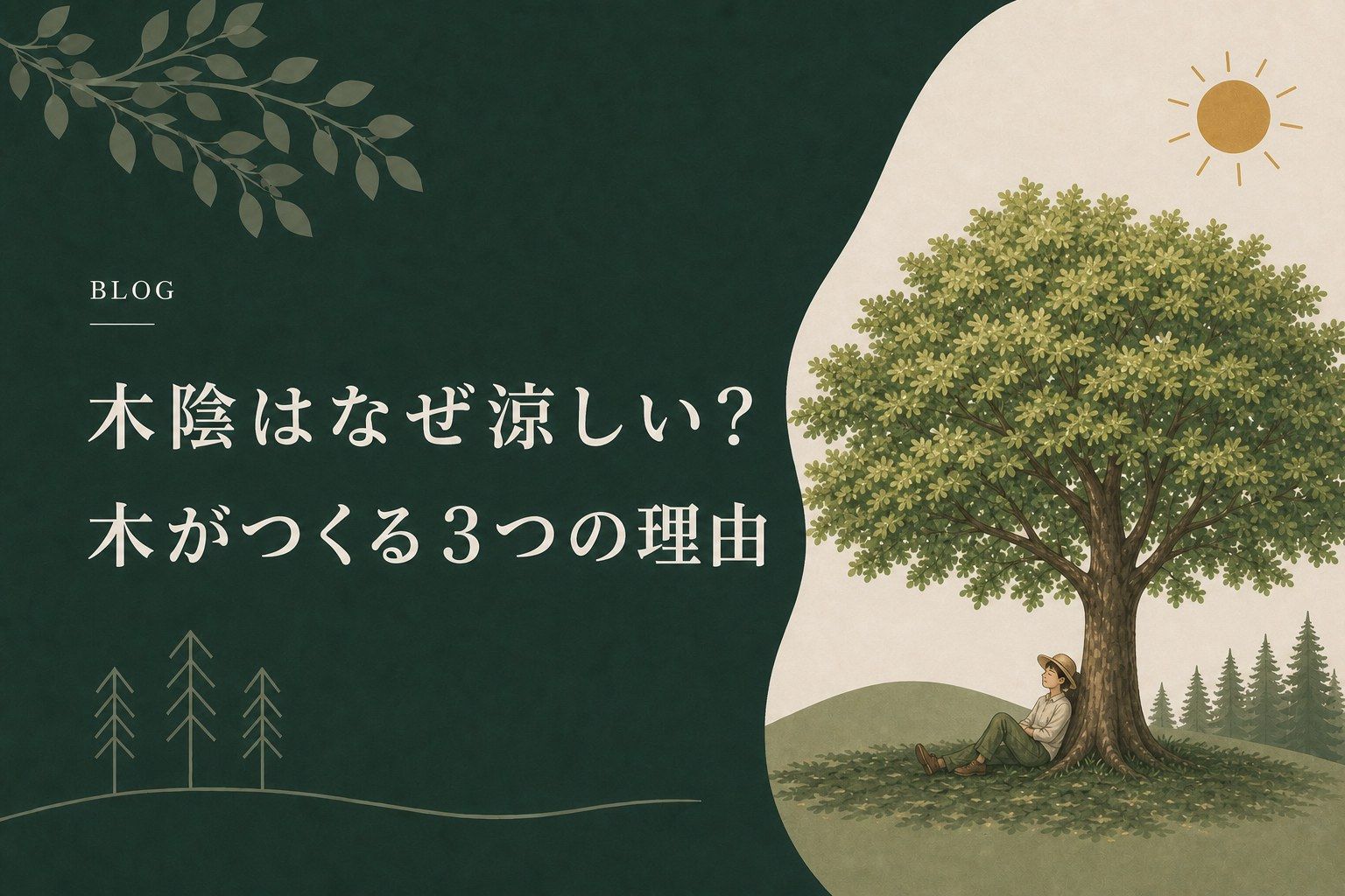 木陰はなぜ涼しい？木がつくる3つの理由