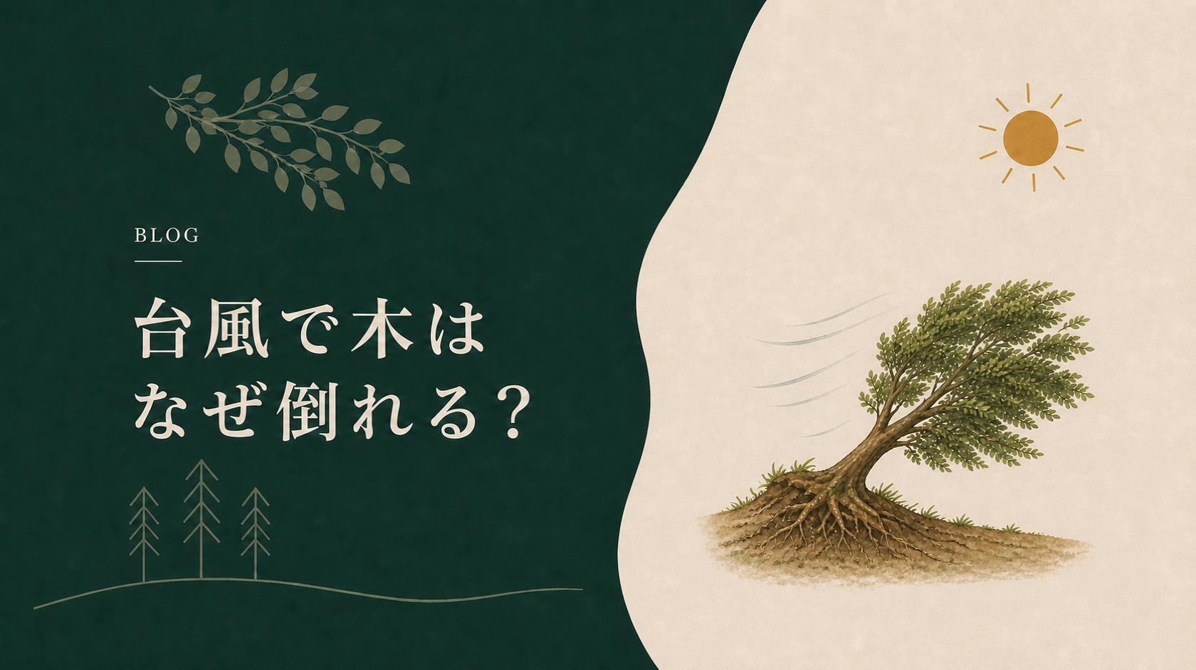 台風で木はなぜ倒れる？倒れやすい木の3つの特徴