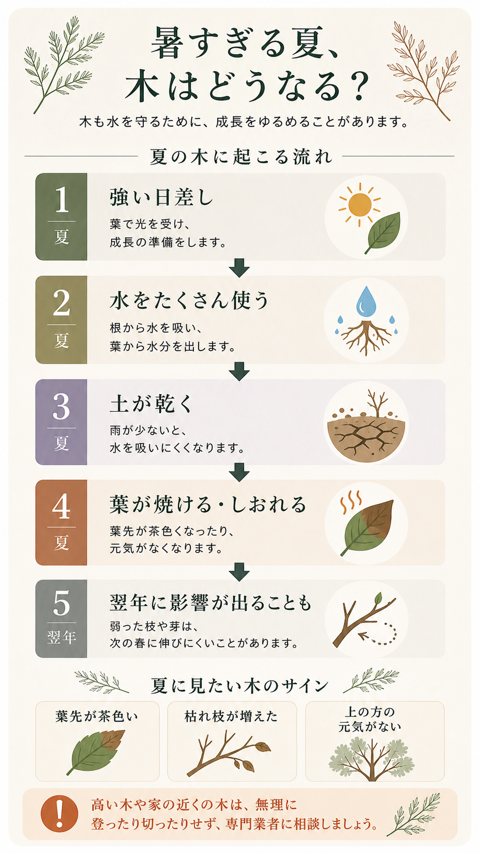 暑すぎる夏に木の中で起こる流れと、夏に気にかけたい木のサインのまとめ